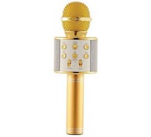 WSTER-WS-858 Karaoke Mikrofon
