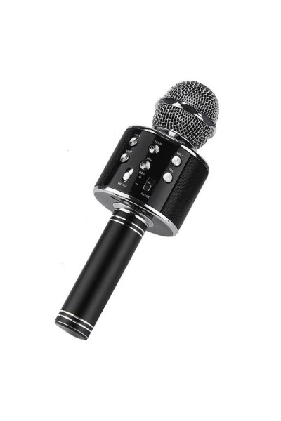 WSTER-WS-858 Karaoke Mikrofon-WS-858