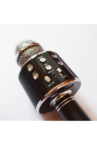 WSTER-WS-858 Karaoke Mikrofon-WS-858
