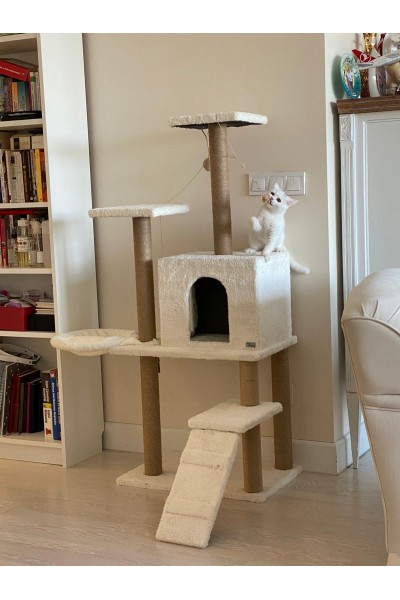 New Palace Kedi Evi ve Tırmalama