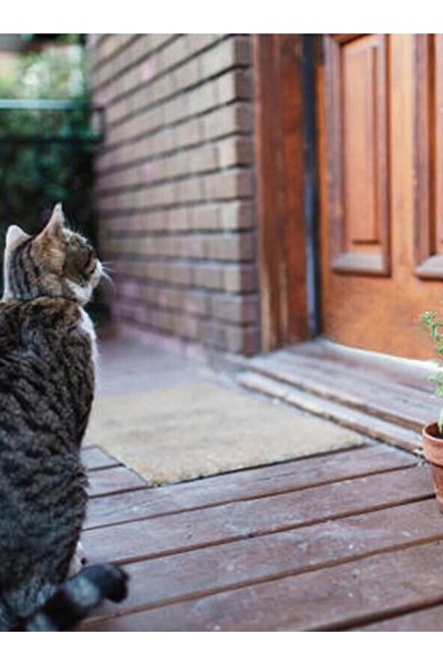 PETSİ Fiesta Kedi Kapısı 4 Yön Kilitli Beyaz