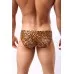 Merry See Leopar Desenli Erkek Slip