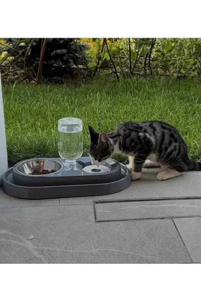 PETSİ Essential Kedi Mama Ve Su Kabı Siyah 1000ml PTS16002-013 PETSİ Essential Kedi Mama Ve Su Kabı Siyah 1000ml