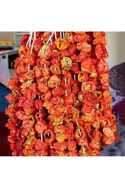 1 İp Kurutulmuş Dolmalık Biber 1 İp Kurutulmuş Dolmalık Biber