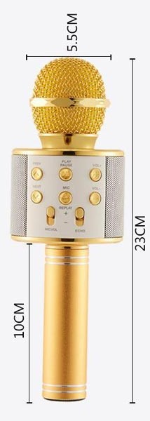 WSTER-WS-858 Karaoke Mikrofon